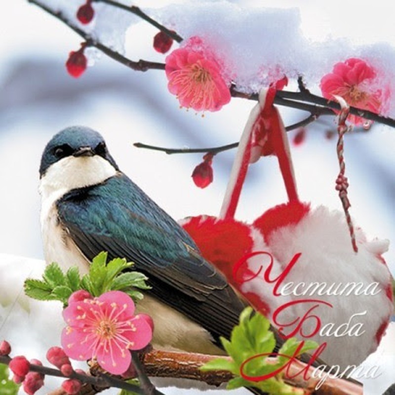 Прочети: ПЪРВИ МАРТ-ЧЕСТИТА БАБА МАРТА